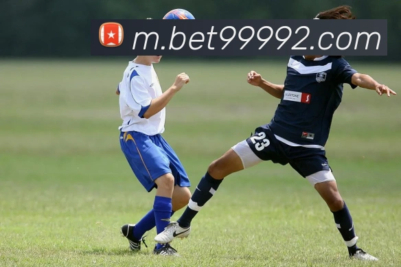 互动解说服务